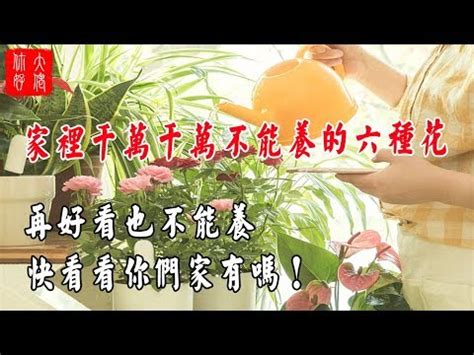 櫻花樹 風水|【櫻花 風水】揭露櫻花與風水禁忌，你不知道的風水潛規則